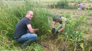 Défrichage autour des fruitiers