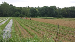 Une moitié de faite !